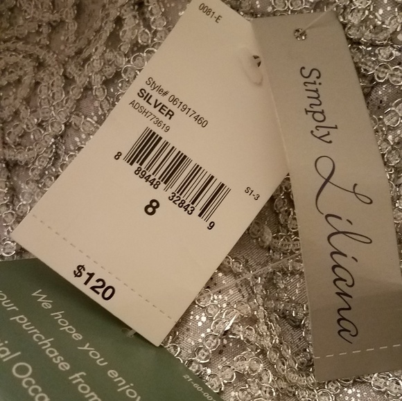 Simply Liliana Silver Sparkly Sheath - Picture 2 of 2